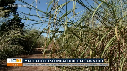 Moradores de Porto Nacional reclamam de falta de segurança e mato alto