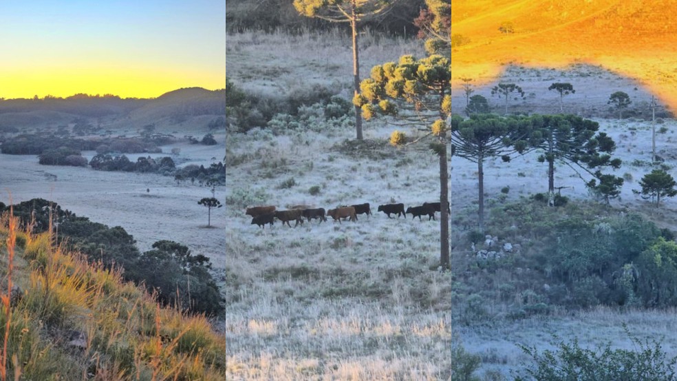 Frio em Santa Catarina nesta terça-feira (28) — Foto: Mycchel Legnaghi/Divulgação