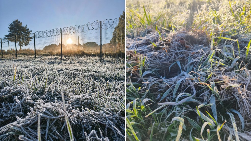 Palmas registrou geada no centro da cidade — Foto: Eli Piasentini
