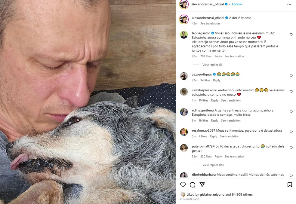 Publicação de veterinário Alexandre Rossi anunciando a morte da cadelinha  Estopinha. — Foto: Reprodução