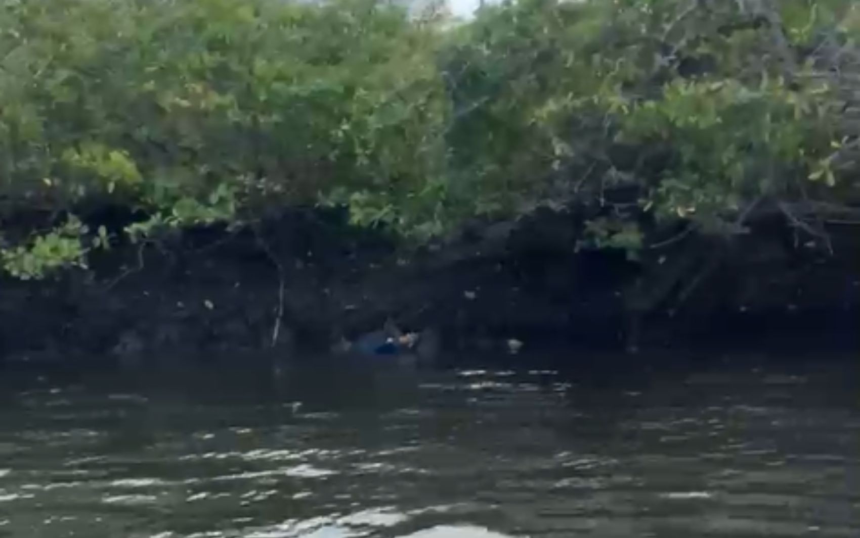 Corpo de homem é encontrado dentro de saco em manguezal de Laranjeiras