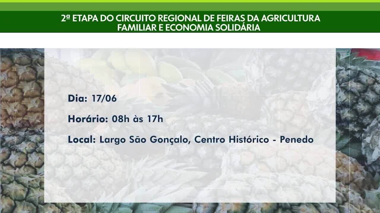VÍDEOS: Gazeta Rural de domingo, 15 de junho