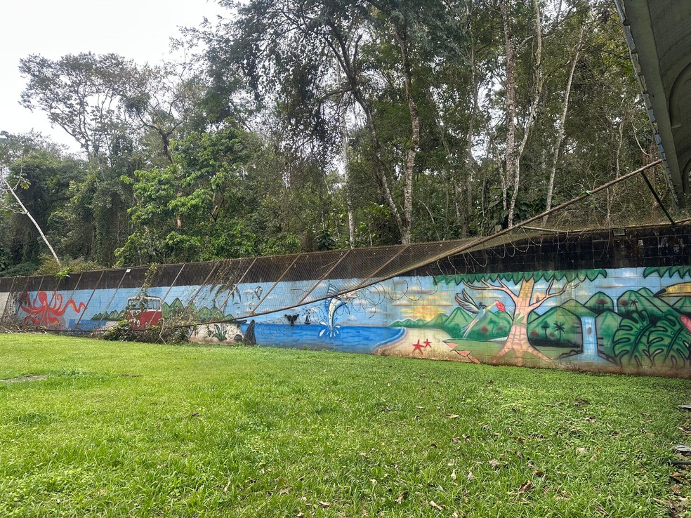 Justiça determina que Fundação Casa de Caraguatatuba resolva problemas estruturais sob pena de interdição — Foto: Reprodução