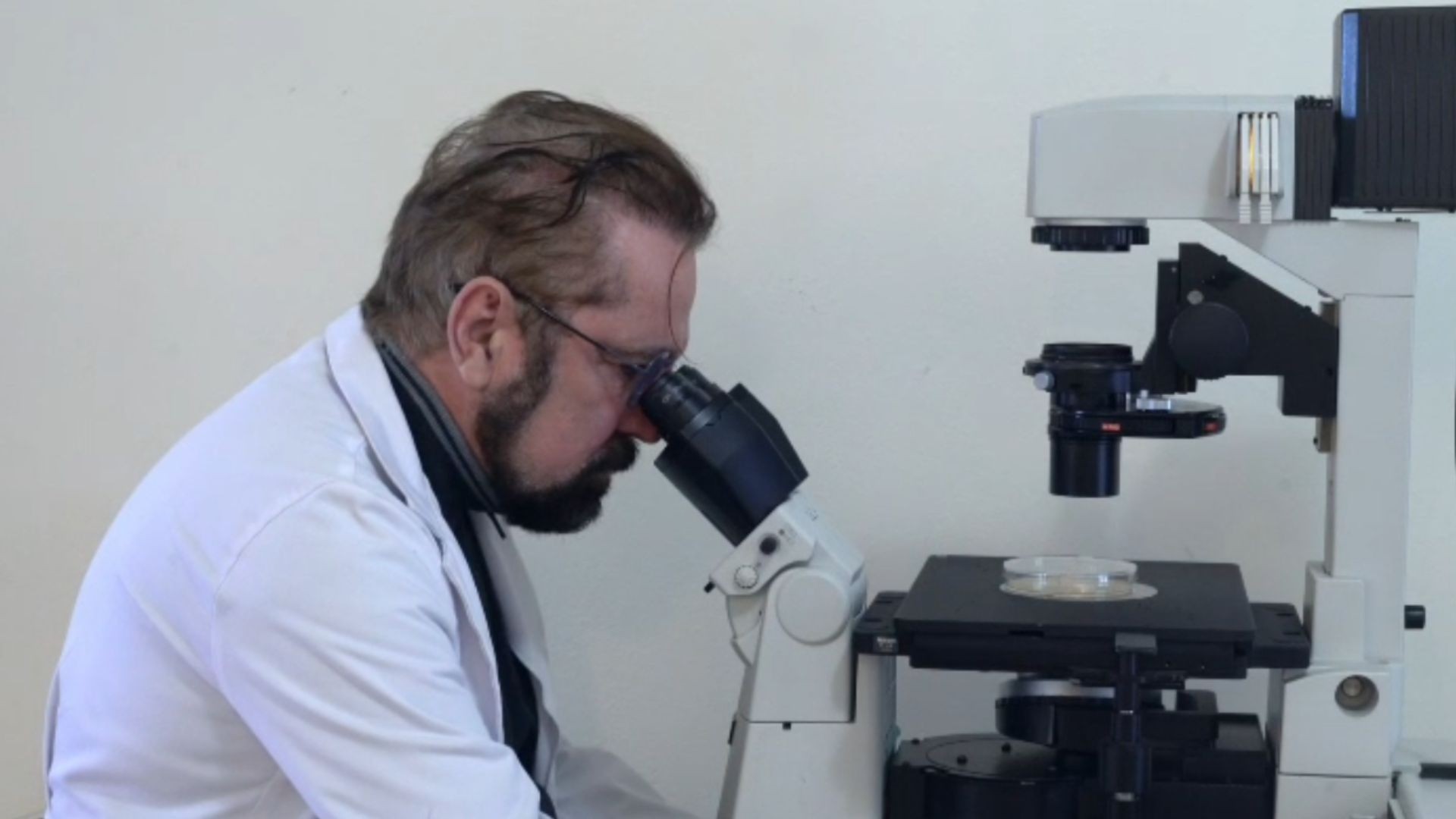 Cientista brasileiro desenvolve pesquisa com IA para identificar molécula capaz de destruir células cancerígenas