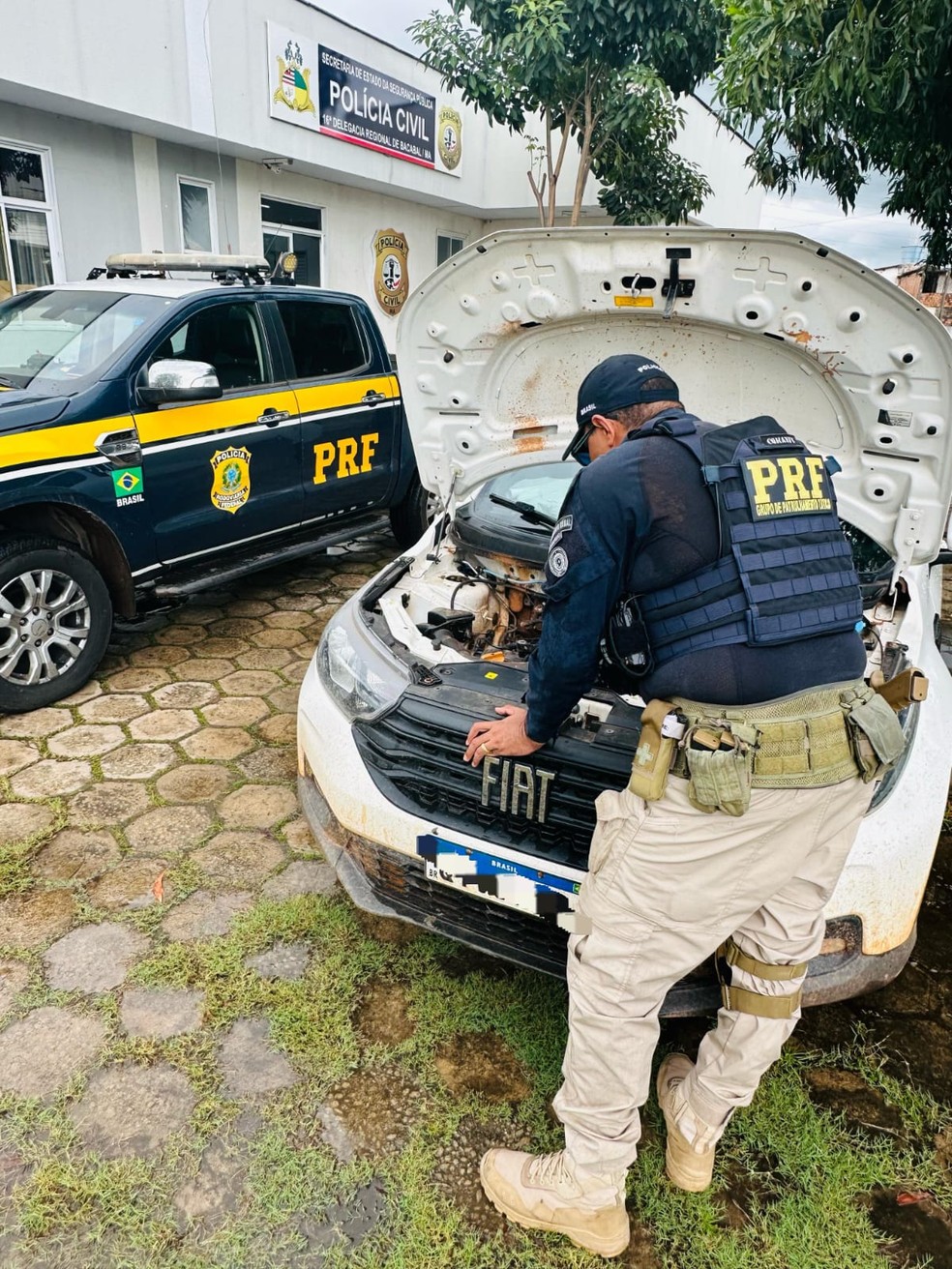 PRF recupera 11 veículos e resgata aves silvestres durante operação no MA — Foto: Divulgação/ PRF