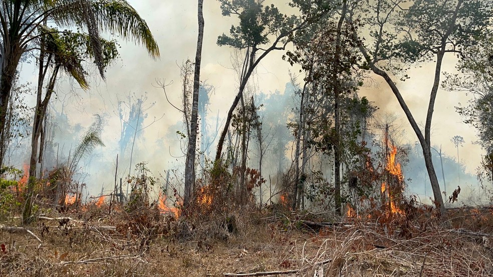 Incêndio atinge Amajari, Norte de Roraima — Foto: Samantha Rufino/g1 RR