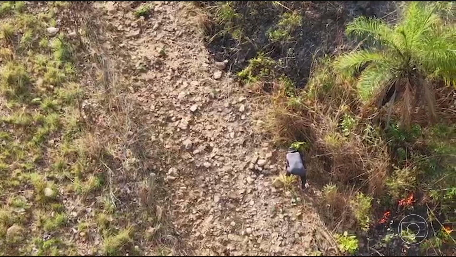 Drones flagram incêndios criminosos no Tocantins