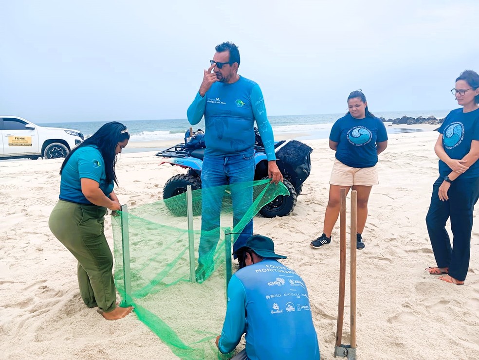 Durante a operação, ninhos de tartarugas marinhas foram localizados em praia de Aquiraz, na Grande Fortaleza. — Foto: APREMACE/Reprodução