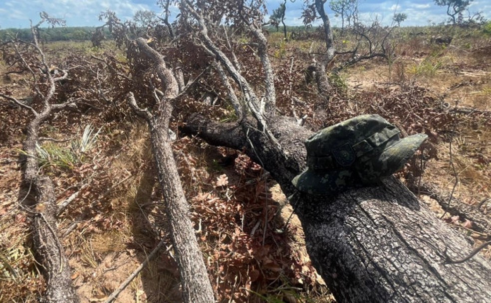 Suspeito estava retirando a vegetação nativa sem autorização ambiental válida — Foto: Divulgação/PMTO
