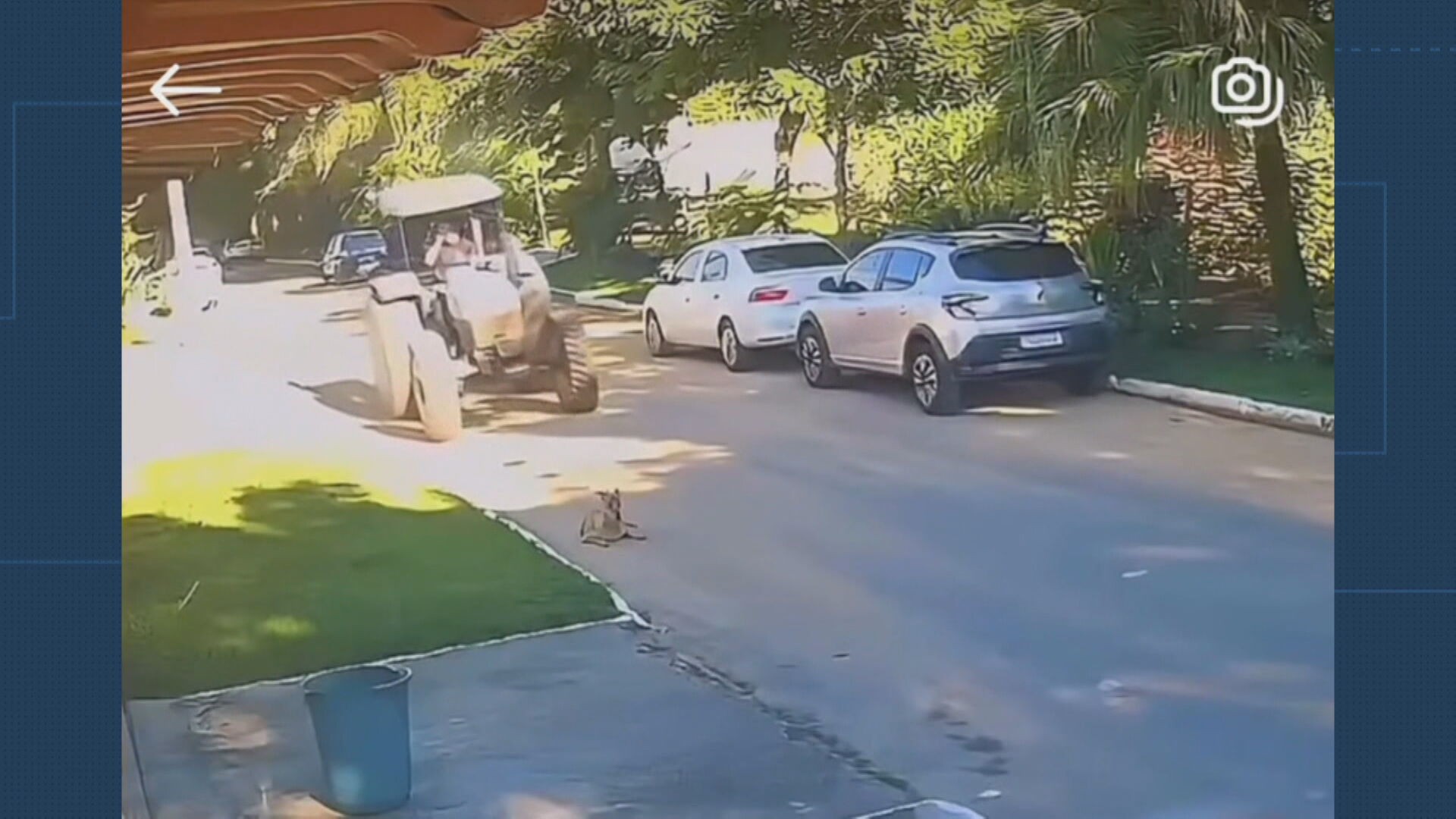 Servidor da Prefeitura de Queimados atropela e mata cachorro com trator