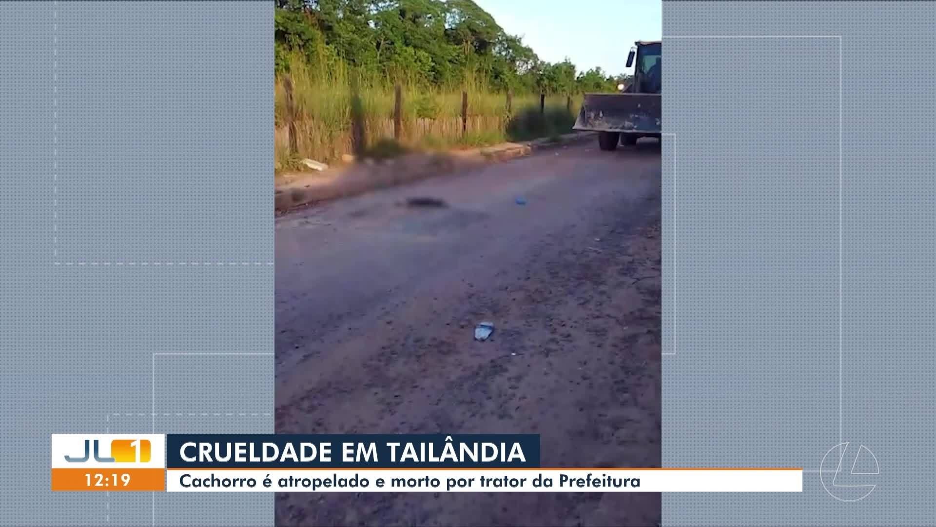 VÍDEOS: JL1 de quarta-feira, 29 de julho de 2026