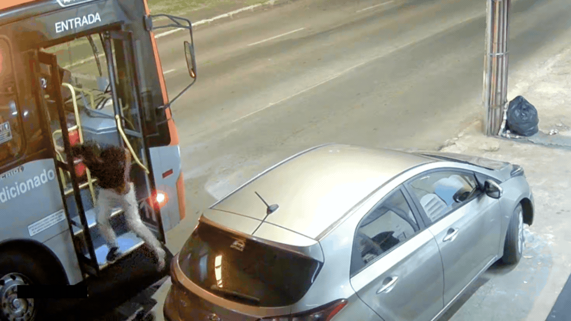 VÍDEO: suspeito desce de ônibus, furta celular caído no chão e volta ao veículo no DF