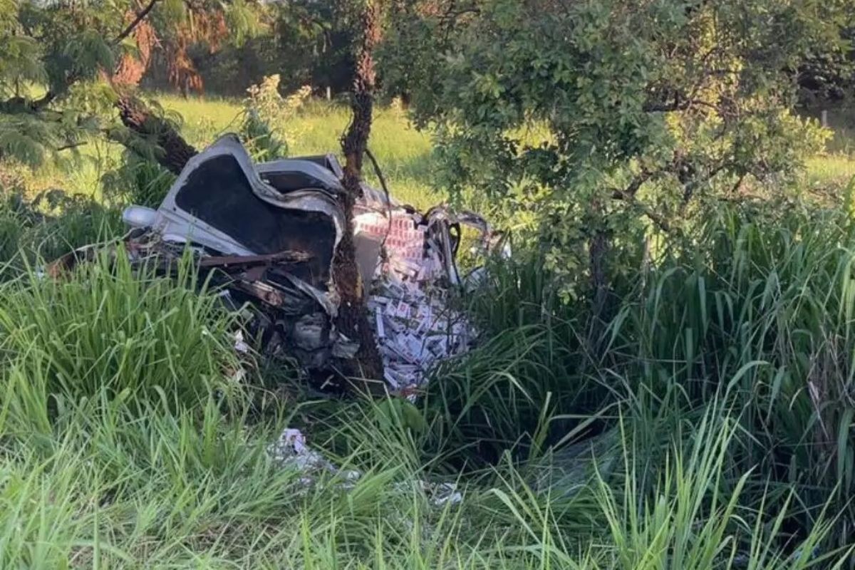 Motorista morre após atropelar javali com veículo carregado de cigarros contrabandeados na BR-267