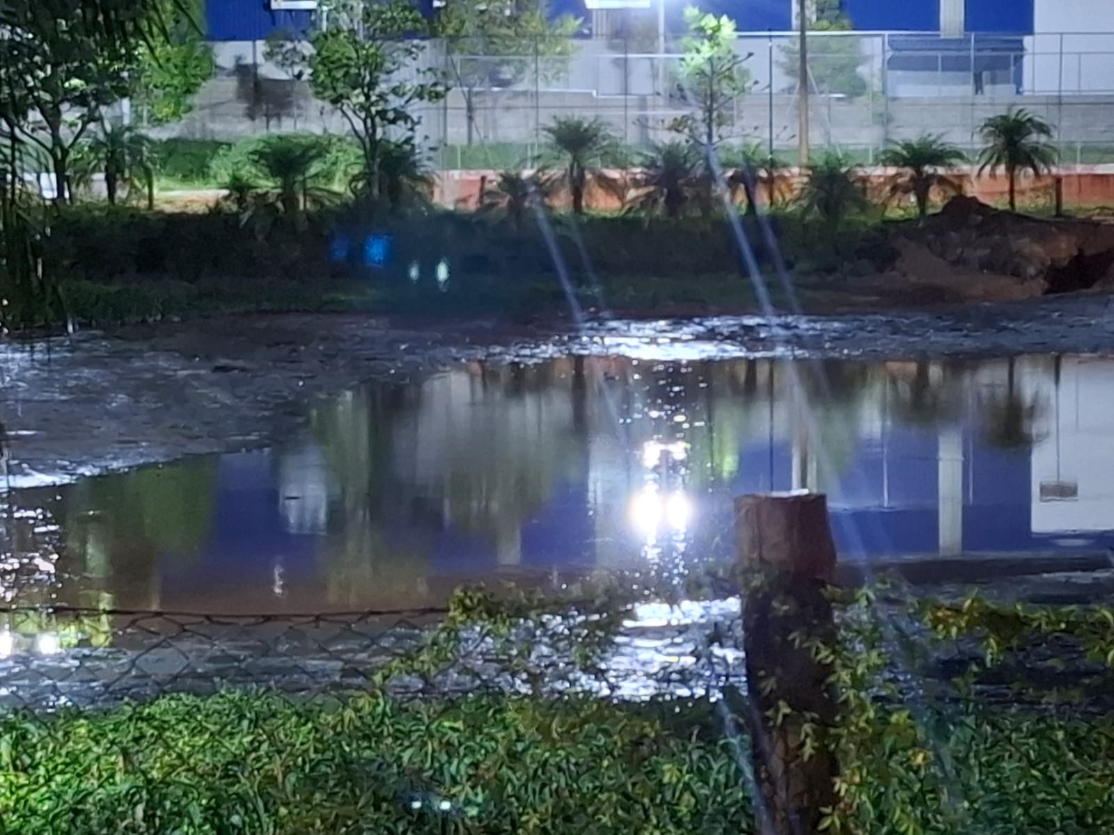 Lago em que patos, gansos e capivaras ficaram azuis após acidente com corante é drenado em Jundiaí