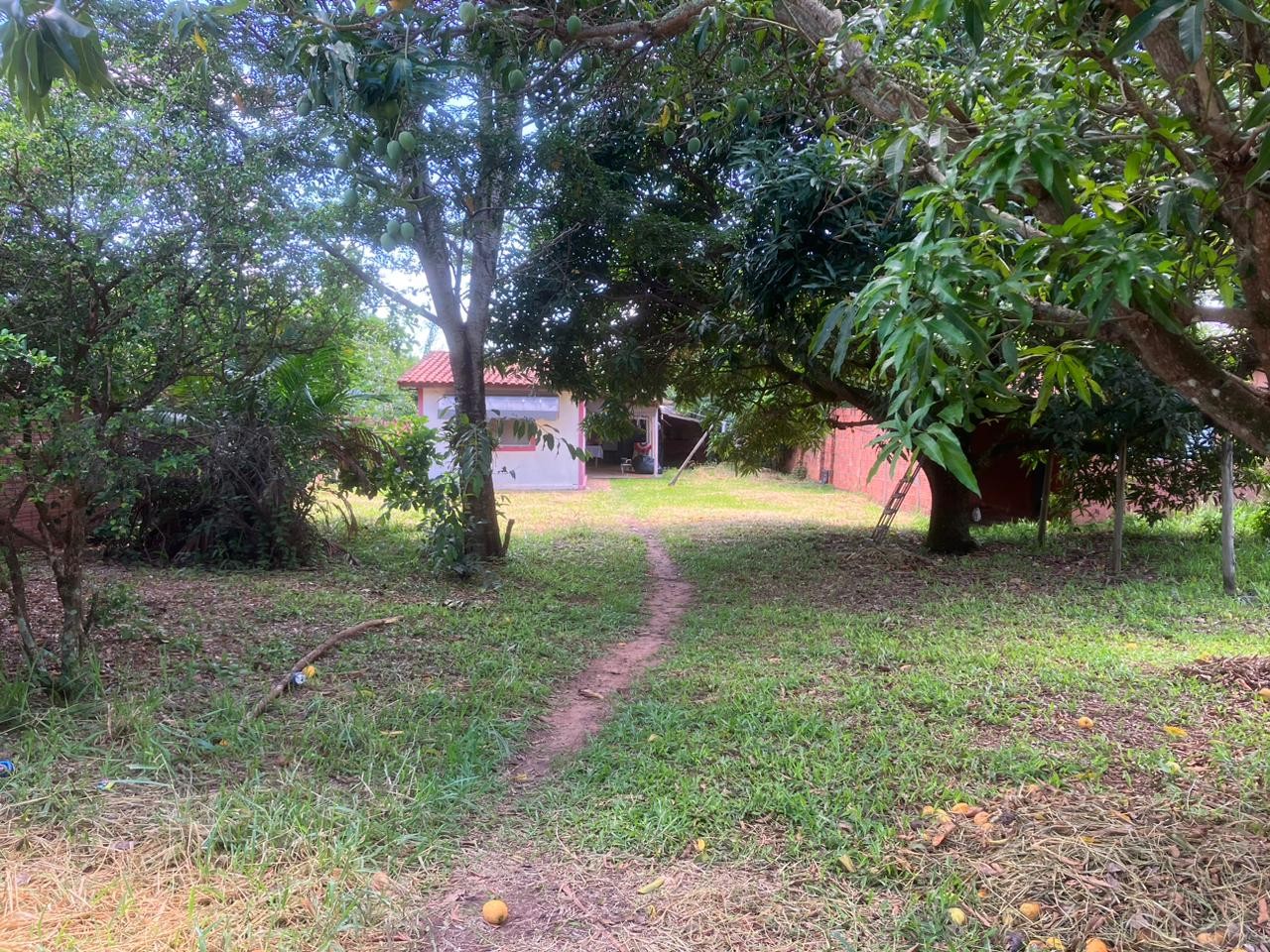 Marido é preso suspeito de esfaquear mulher em casa de São Pedro, diz PM 