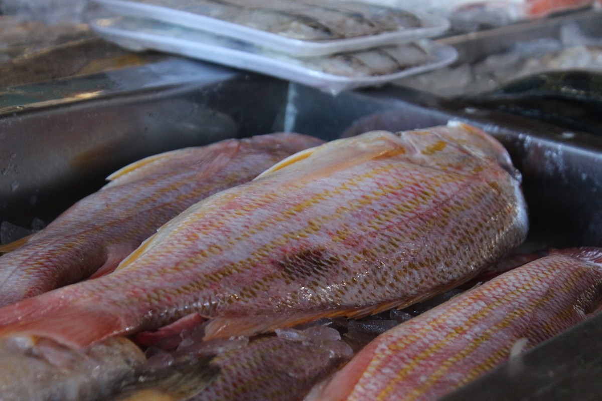 Mercado do Peixe toneladas de tilápia, salmão e camarão fresquinhos
