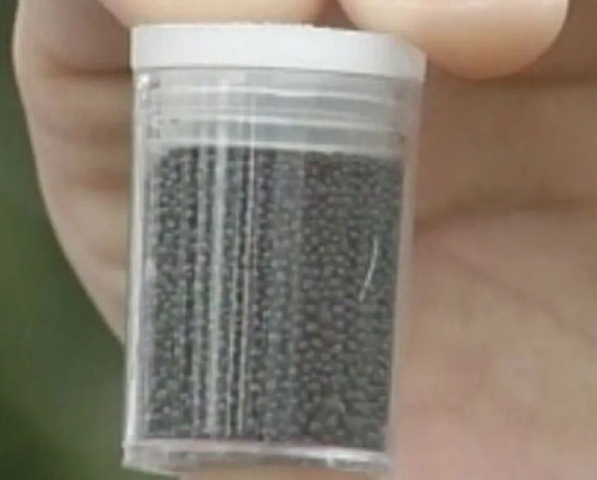 Venda de chumbinho passa a ser proibida em Juiz de Fora; entenda 