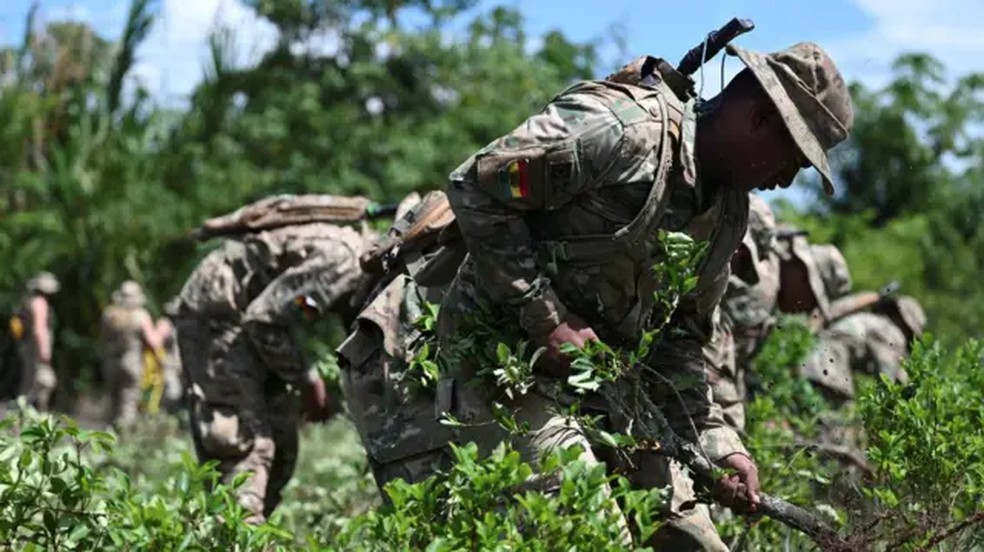 Soldados destroem plantas de coca como parte de um programa para erradicar o excedente das folhas, em Chimoré, na Bolívia — Foto: Reuters