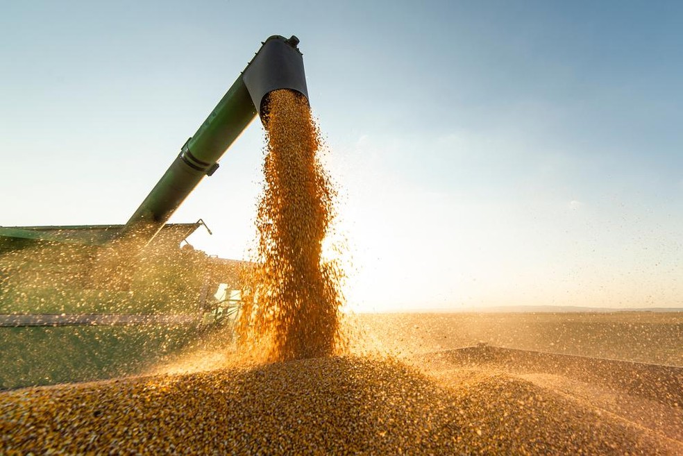 No total, a China importou 13,55 milhões de toneladas de soja no mês, o maior volume já registrado para junho. — Foto: Divulgação