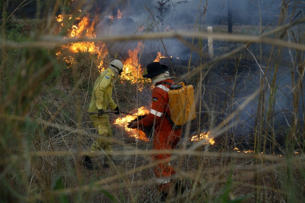 Queimadas ilegais. — Foto: Governo de Rondônia/Divulgação