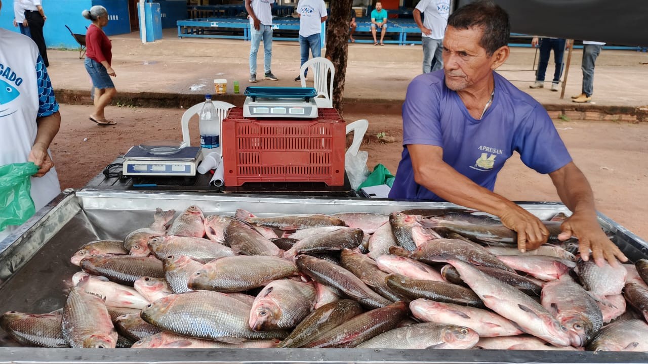 Começa Feira do Pescado em Santarém e Mojuí dos Campos