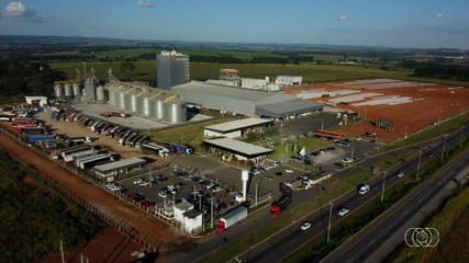 Entenda como funciona e a importância das agroindústrias para a produção do campo