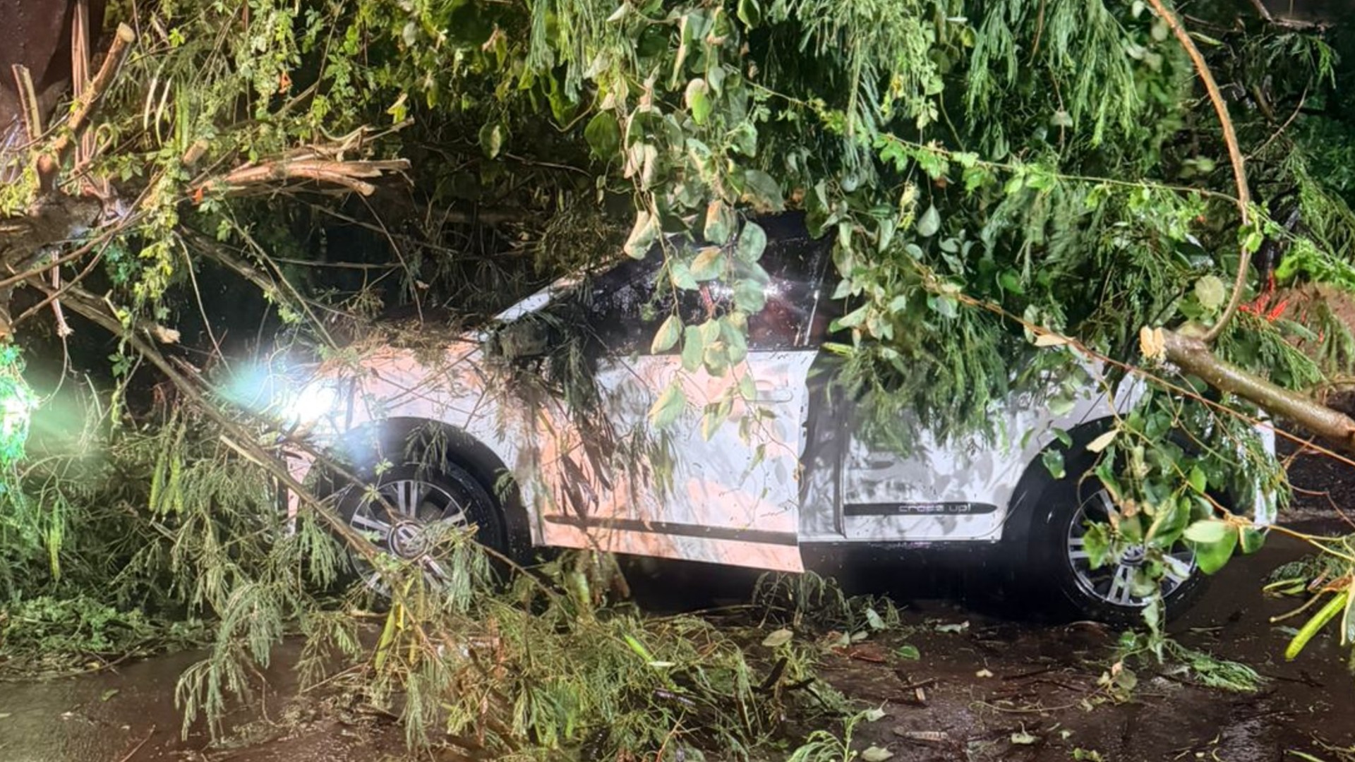 Chuva forte provoca queda de árvores em Taquarituba