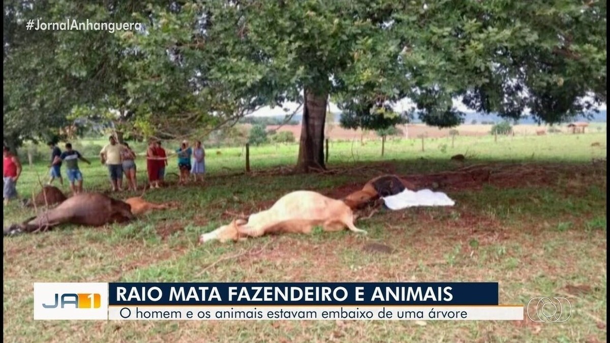 Descarga elétrica mata cavalo e deixa homem ferido na zona rural de  Cachoeira - Revista Recôncavo