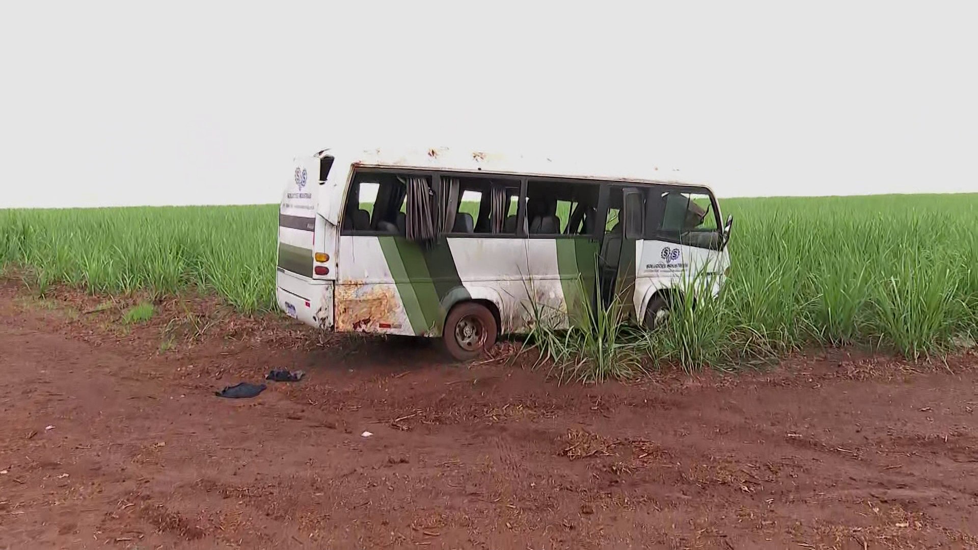 Acidente com micro-ônibus deixa 14 trabalhadores feridos em rodovia entre Pradópolis e Guatapará, SP