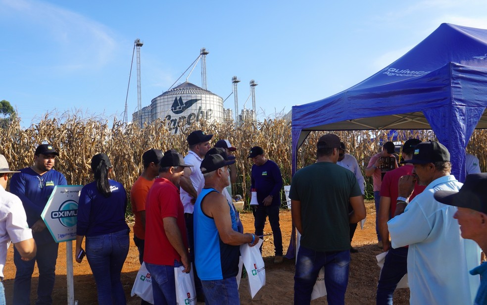 Cooperativa apresenta novidades para produtores em vitrine tecnológica durante três dias em Boa Esperança — Foto: Divulgação / Capebe