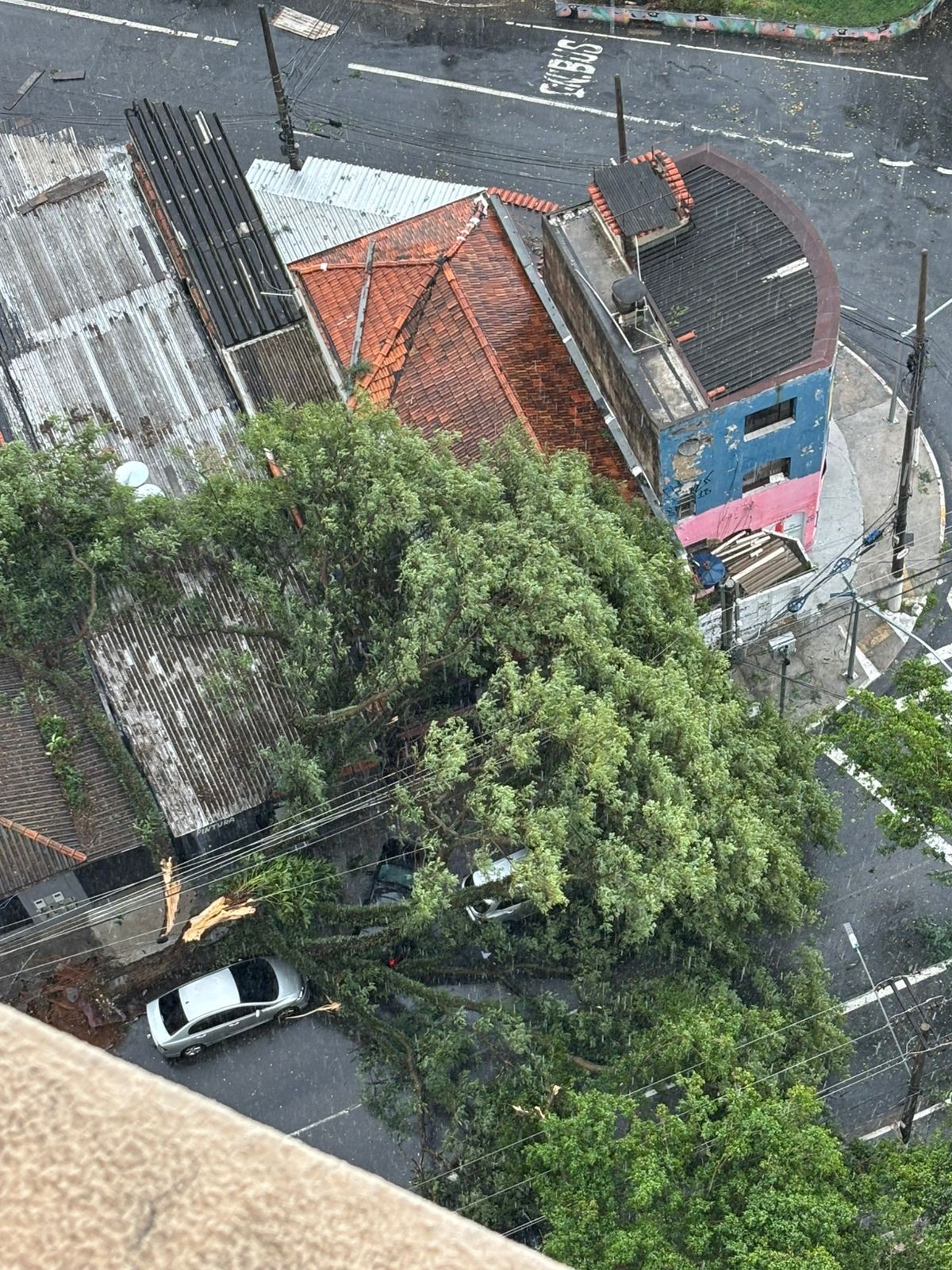 Chuva forte deixa capital em estado de atenção para alagamentos e derruba árvores; 58 mil imóveis estão sem luz na Grande SP
