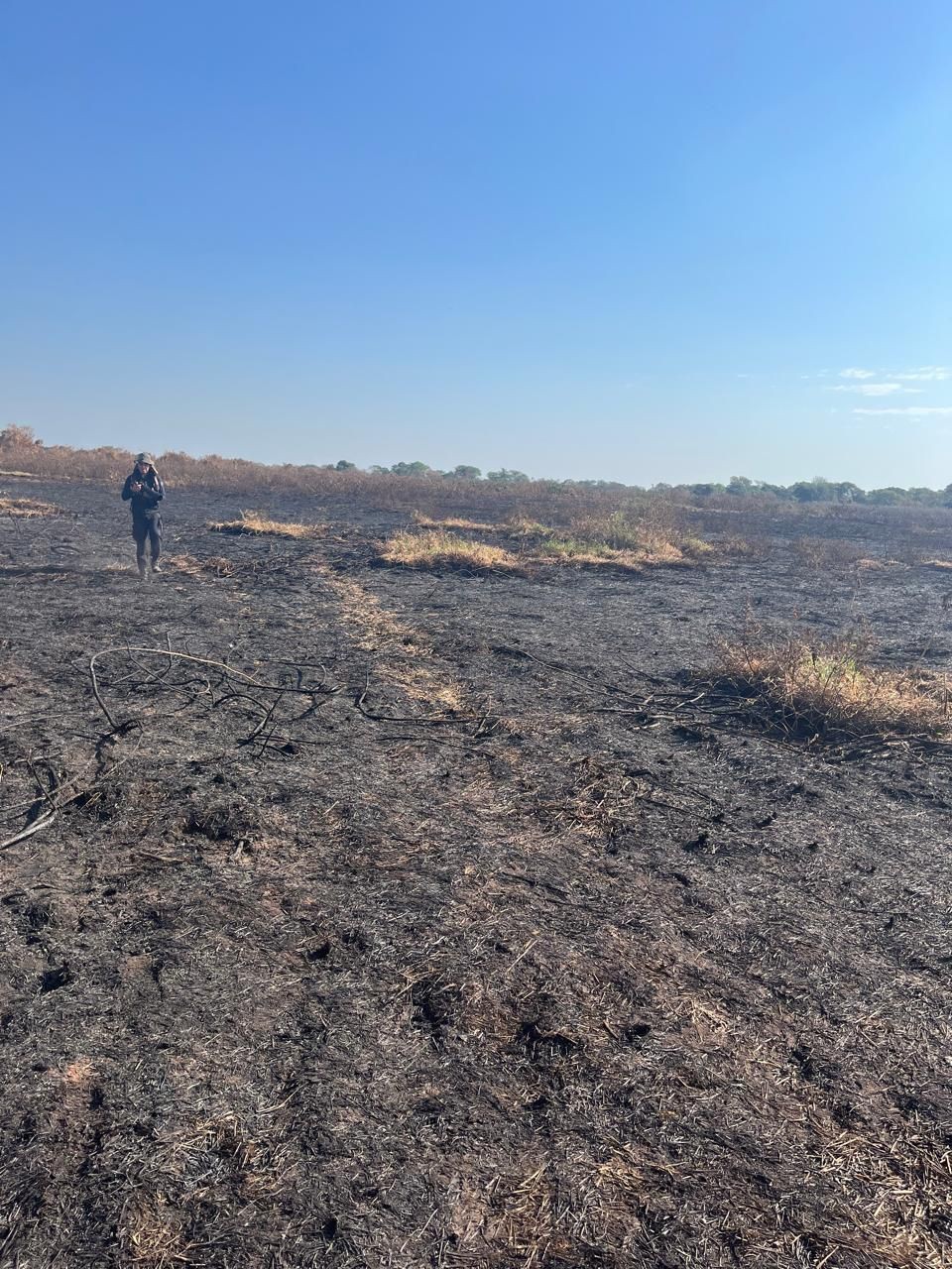 Suspeito de provocar 'muralha de fogo' no Pantanal é multado em R$ 50 milhões e investigado por contrabando de gado