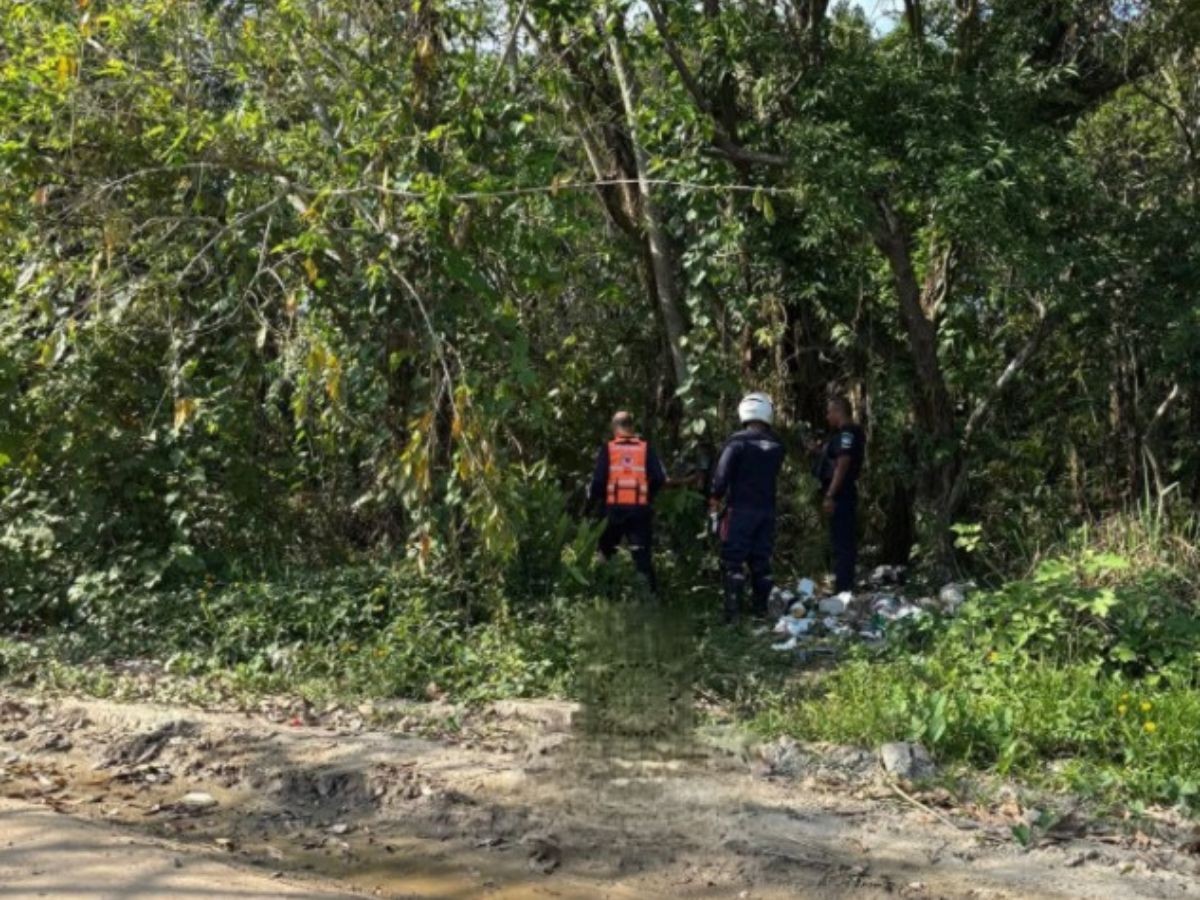 Homem morre eletrocutado ao tentar furtar fiação no litoral de SP