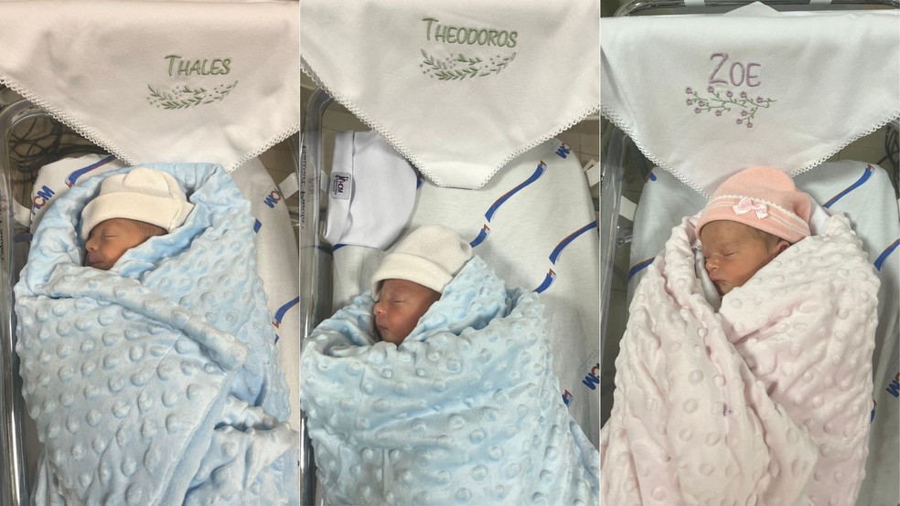 Apesar de prematuros, os trigêmeos nasceram em ótimo estado de saúde. — Foto: Reprodução/Hospital da Criança e Maternidade