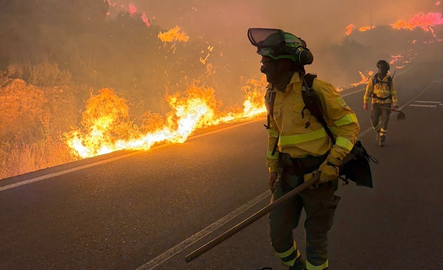 Incêndio florestal deixa 12 mortos no sul da Espanha