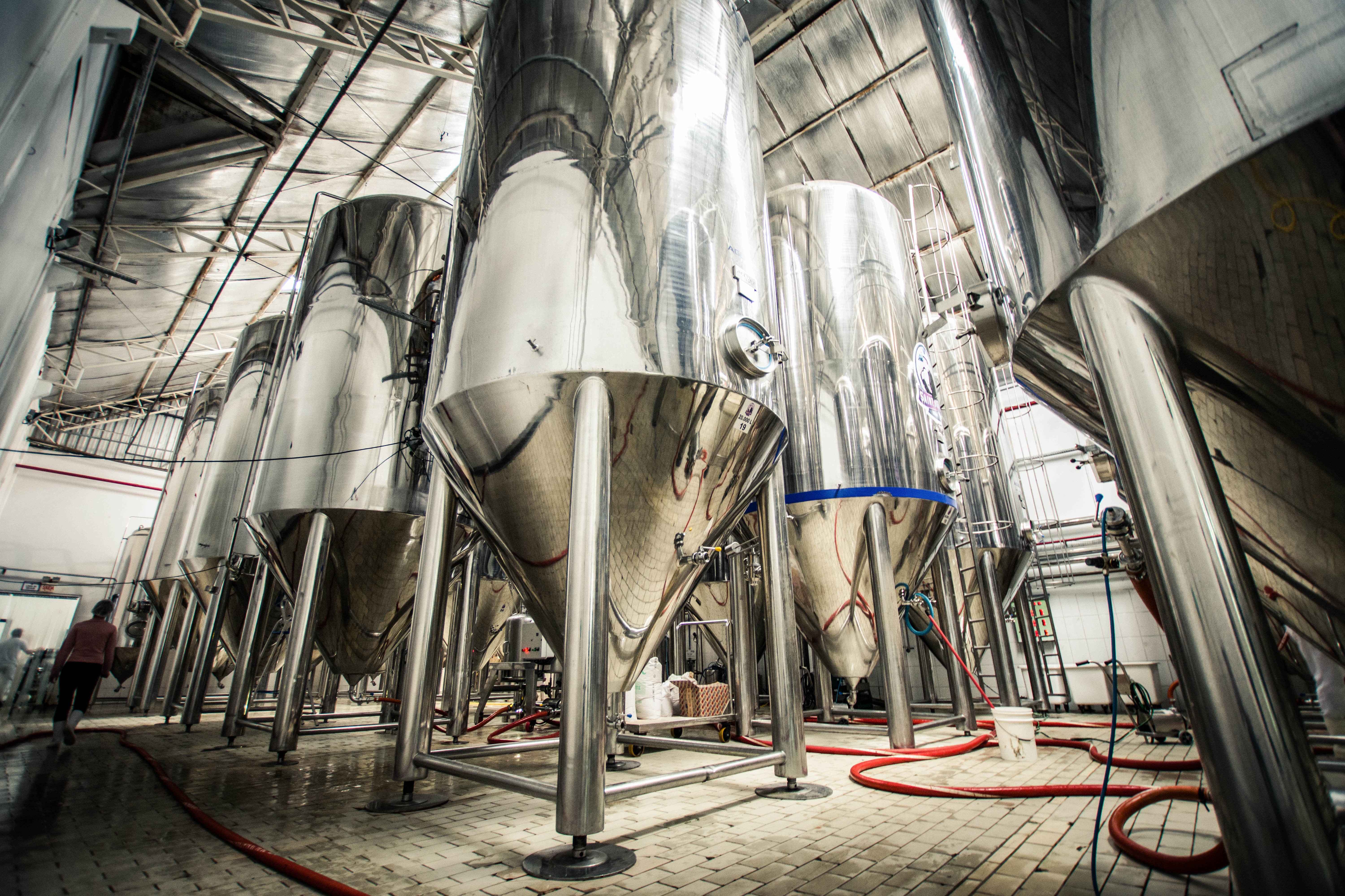 Para garantir sabor e aroma, diversas etapas são essenciais na fabricação da cerveja artesanal
