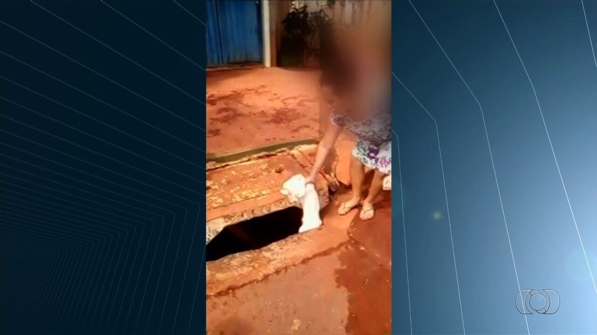 Vídeo mostra mulher jogando cachorro dentro de bueiro em Novo Gama, GO