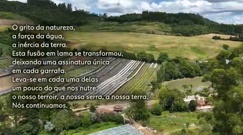 Poema escrito na embalagem da edição Inundação dos vinhos produzidos pela família Argenta, de Barão (RS). — Foto: Reprodução/Globo Rural