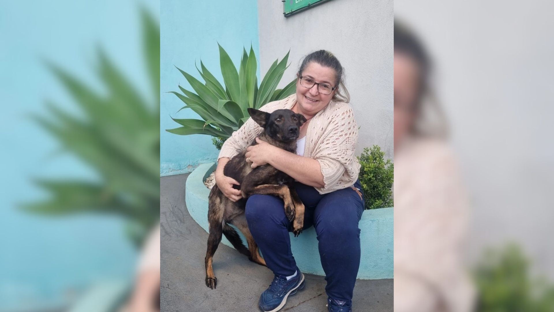 Cachorrinha vítima de maus-tratos em Gália encontra novo lar