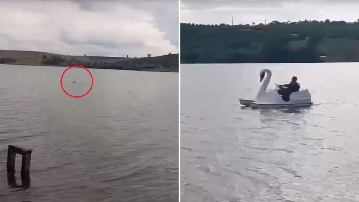 VÍDEO: PM usa pedalinho para prender foragido que pulou em lagoa para fugir da polícia no ES