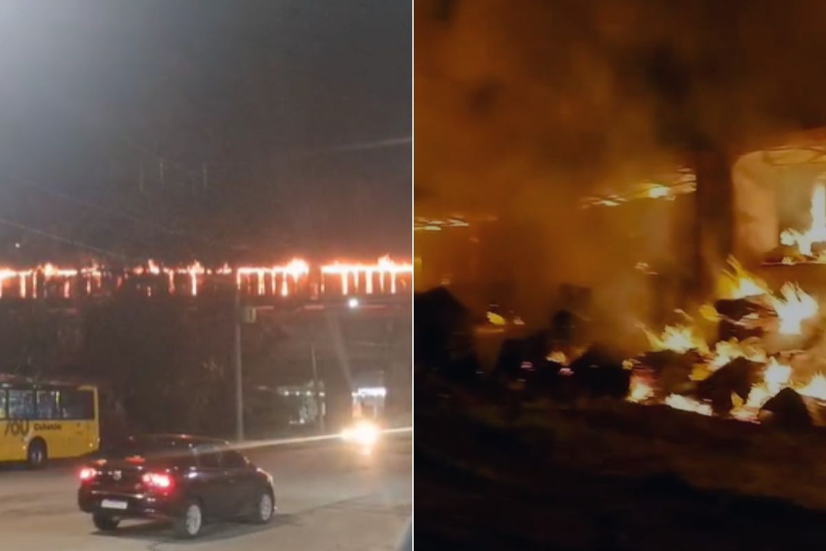 Grupo ateia fogo em trem carregado com celulose e causa grande incêndio em SP; VÍDEO