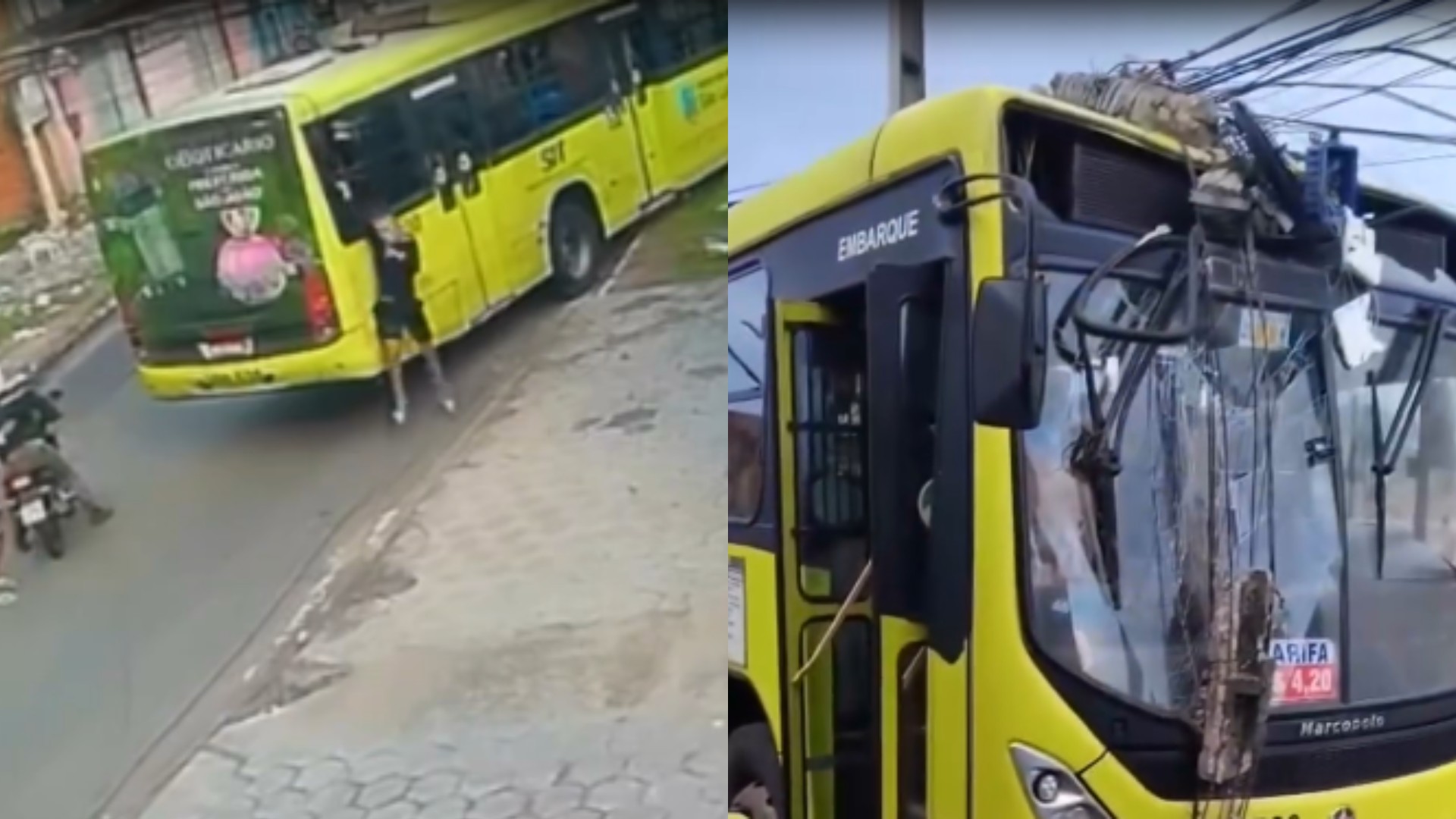 Criminosos assaltam ônibus, tentam esfaquear motorista e coletivo bate em poste na Estrada da Mata, em São Luís
