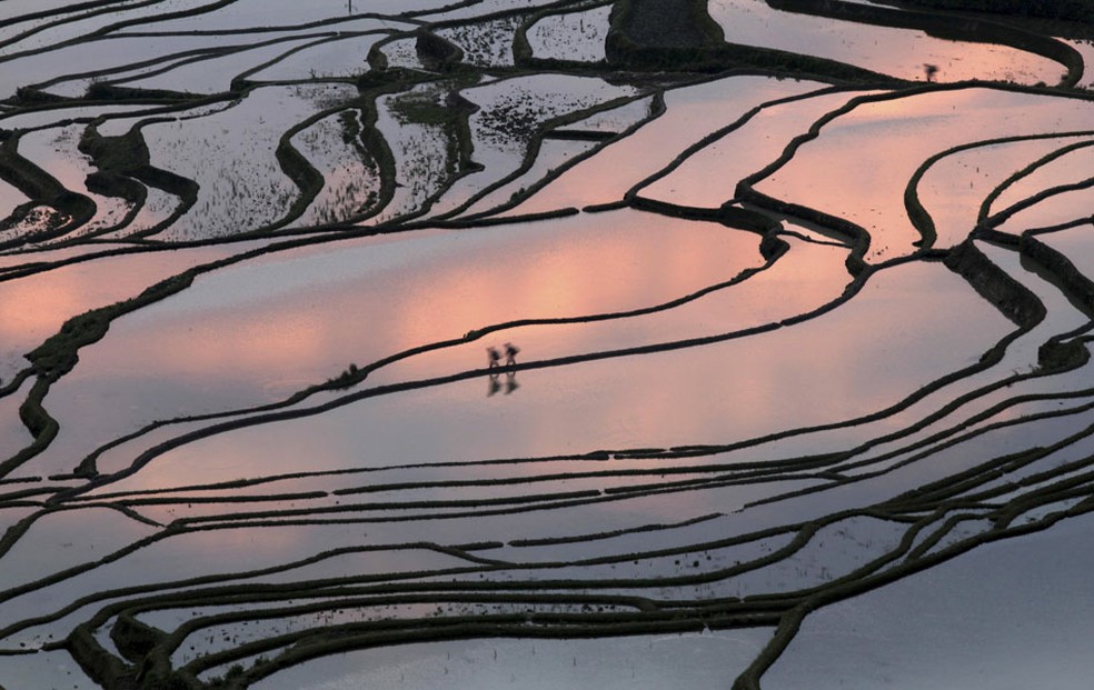 Pessoas são vistas andando em meio a uma plantação de arroz em Yuanyang, na China. — Foto: AP/Liang Zhiqiang/Xinhua