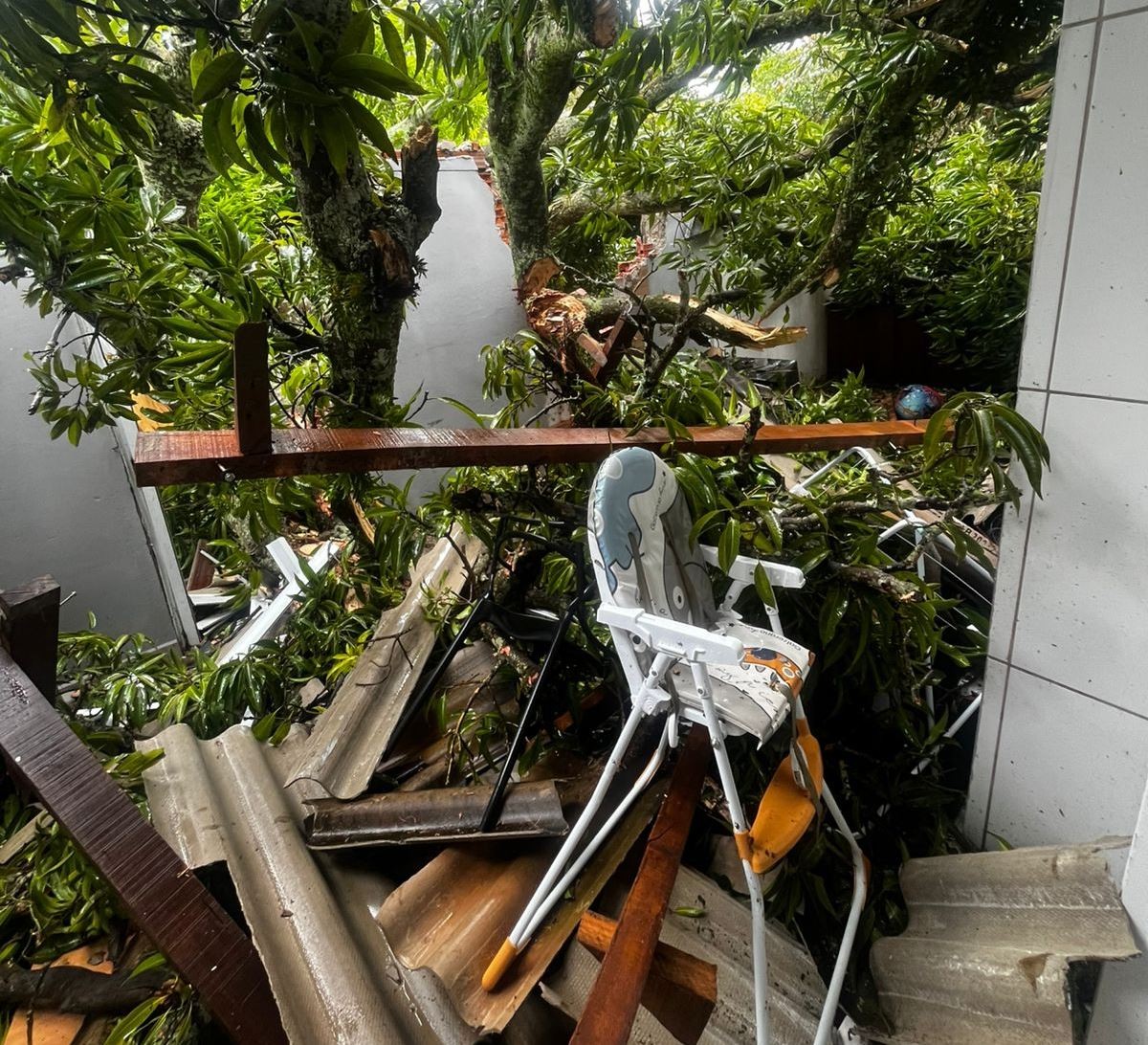 Bebê morre após queda de árvore em casa na Academia da Força Aérea no interior de SP