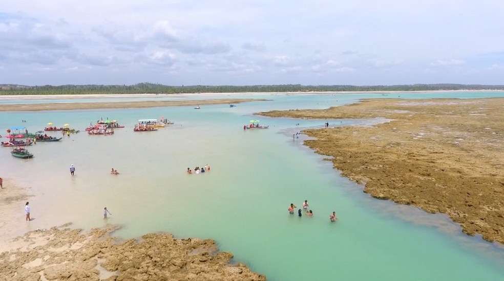 Turismo nas piscinas naturais de Maragogi é permitido, desde que sejam observadas as regras de conservação dos corais — Foto: Reprodução/TV Gazeta