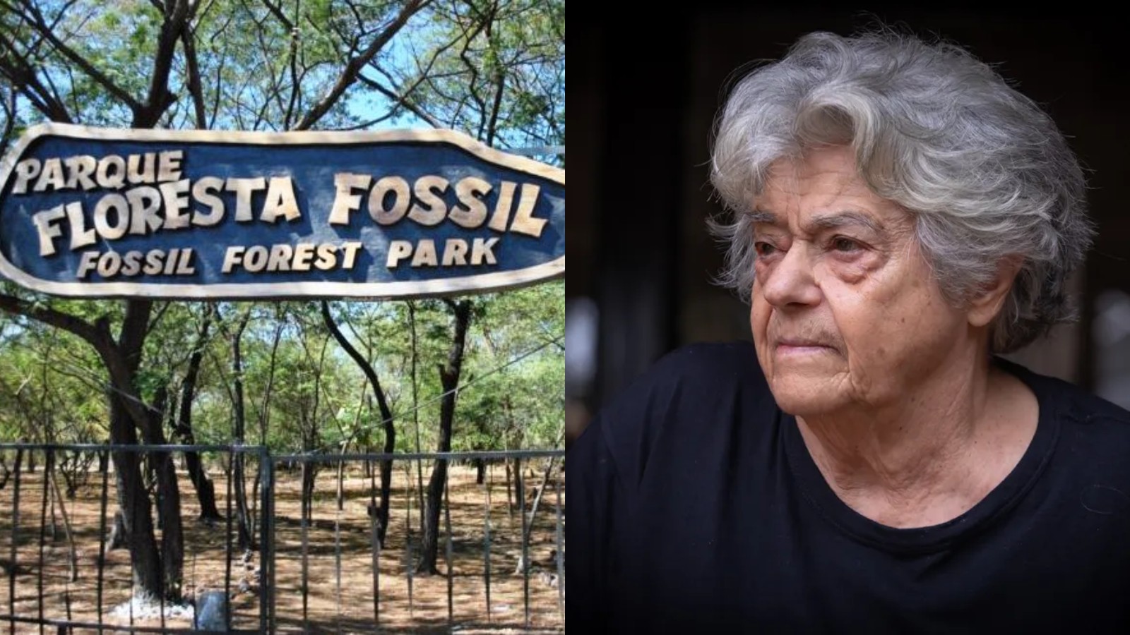 ​​Parque Floresta Fóssil, em Teresina, será renomeado em homenagem à Niède Guidon