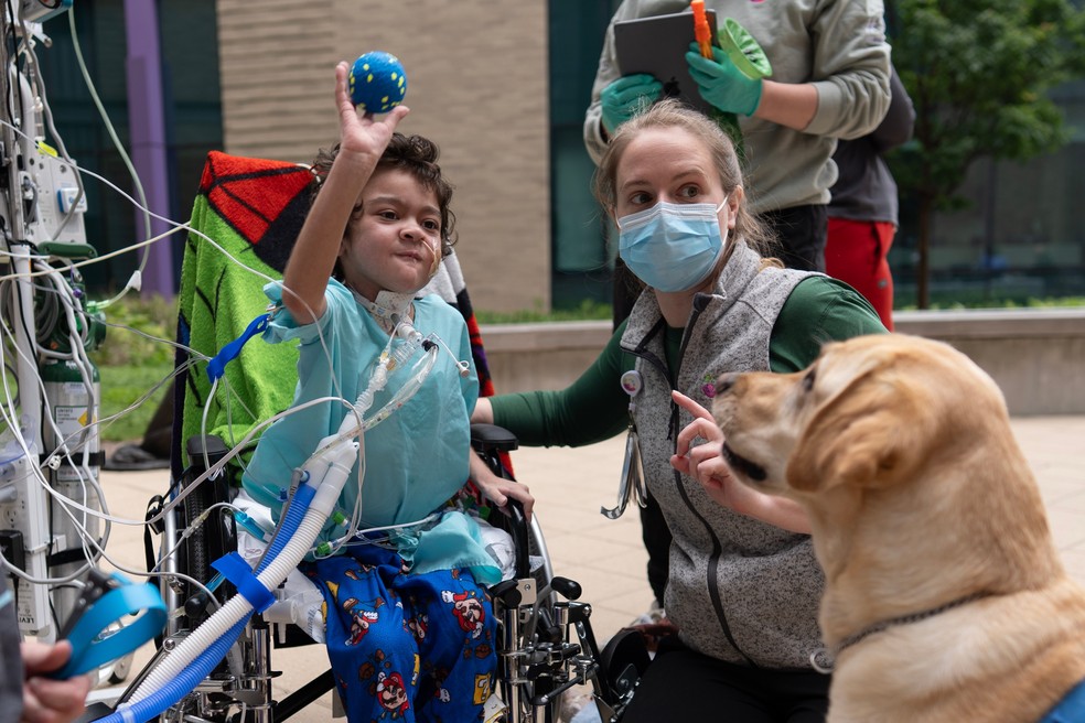 Calvin Owens, de cinco anos, joga uma bola para Hadley, o cão de apoio da instituição, durante uma sessão de fisioterapia no pátio do Hospital Infantil de Cincinnati — Foto: AP/Carolyn Kaster