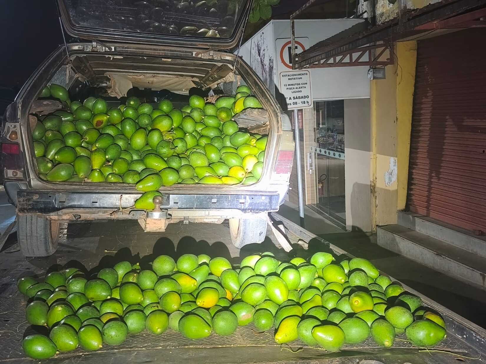 Dois homens são presos com 700 kg de abacates furtados de fazenda no interior de SP