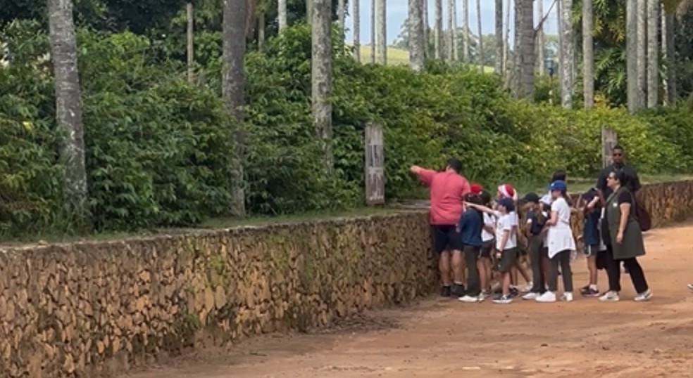 Fazenda Nossa Senhora da Conceição, em Jundiaí (SP), recebe visitas de turistas e excursões escolares — Foto: Fazenda Nossa Senhora da Conceição/Divulgação