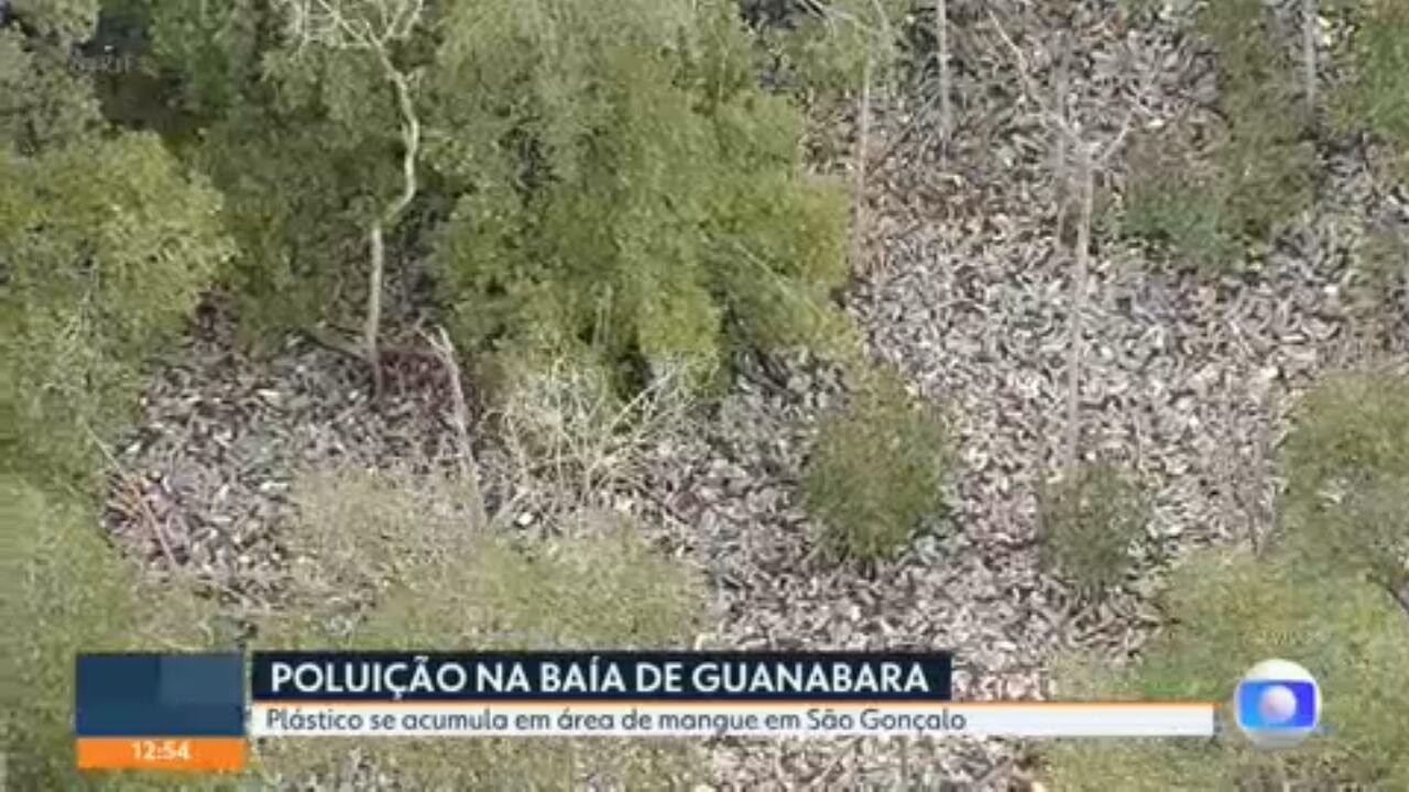 Lixo se acumula em manguezal na Baía de Guanabara, em São Gonçalo; VÍDEO